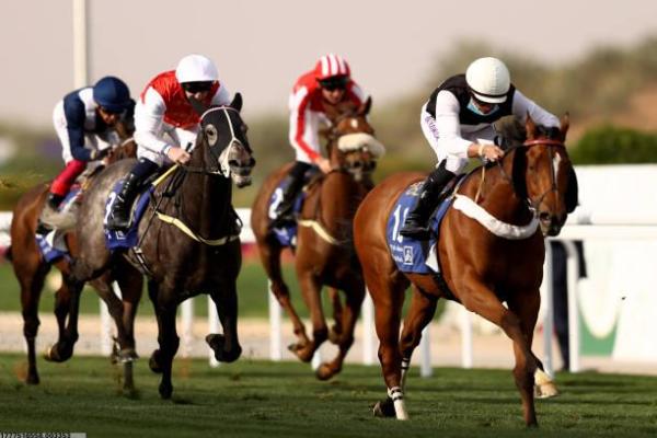 召陵区周边体育培训班机构推荐(图1)