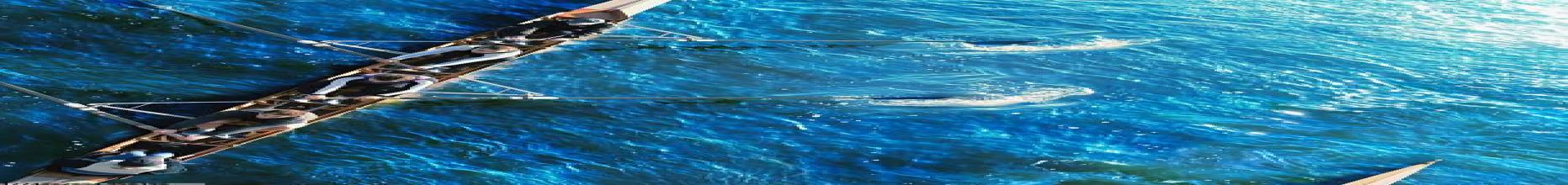 世界杯赛事预测网特色运动项目引进